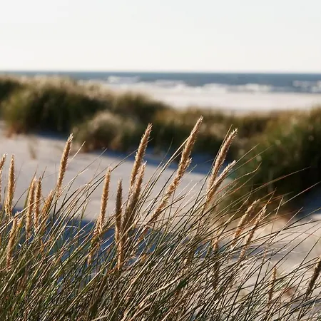 Z Widokiem Na Wydme Prázdninový dům *