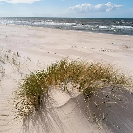 Z Widokiem Na Wydme Prázdninový dům