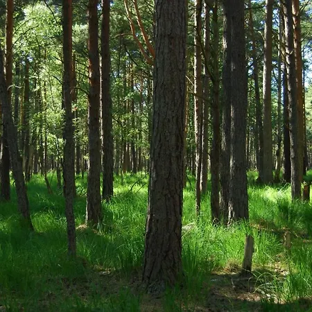 Prázdninový dům Z Widokiem Na Wydme