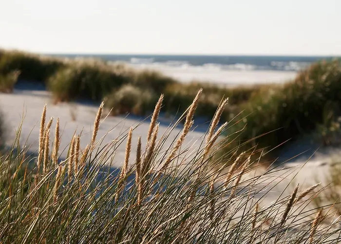 Z Widokiem Na Wydme Vakantiehuis *