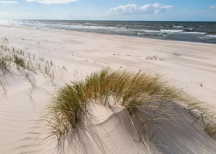 Z Widokiem Na Wydme Tatil Evi
