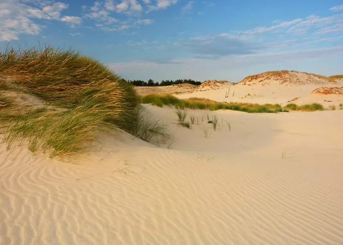 Z Widokiem Na Wydme *