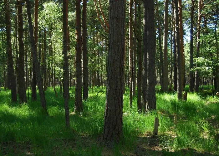 Tatil Evi Z Widokiem Na Wydme