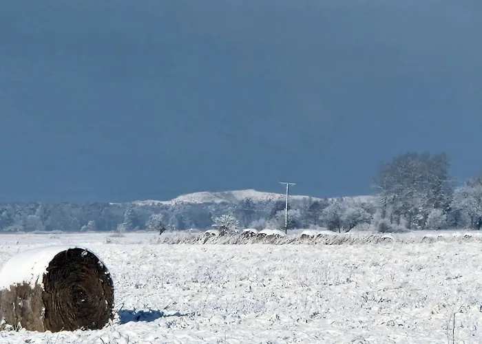Z Widokiem Na Wydme Tatil Evi