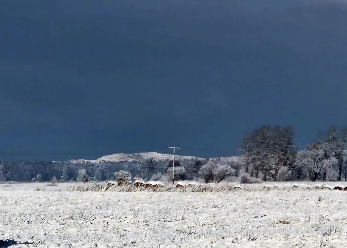Z Widokiem Na Wydme Tatil Evi *